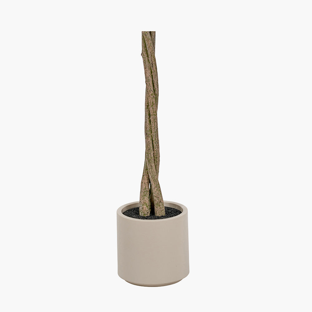 Artificial Bay Tree in Pot | Medium